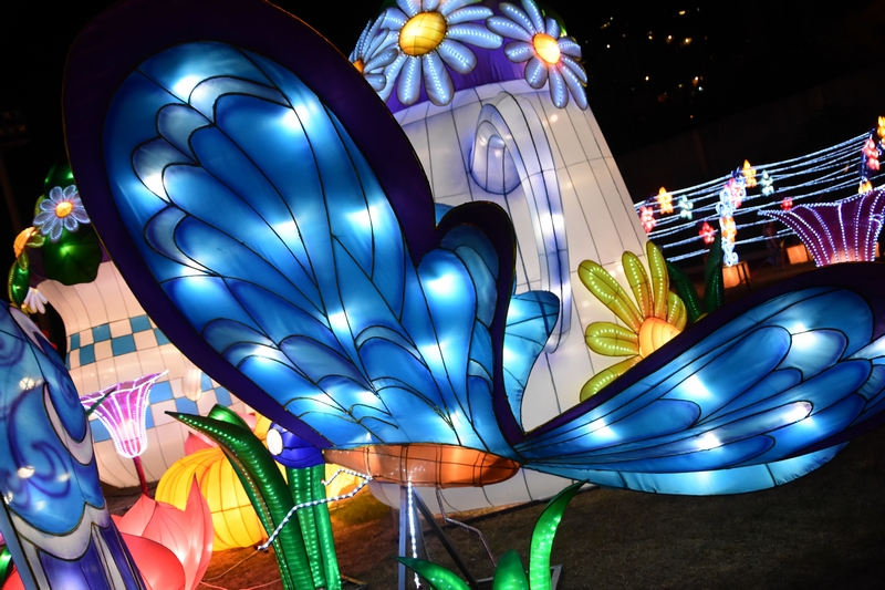 WONDERLAND A magical city of lights